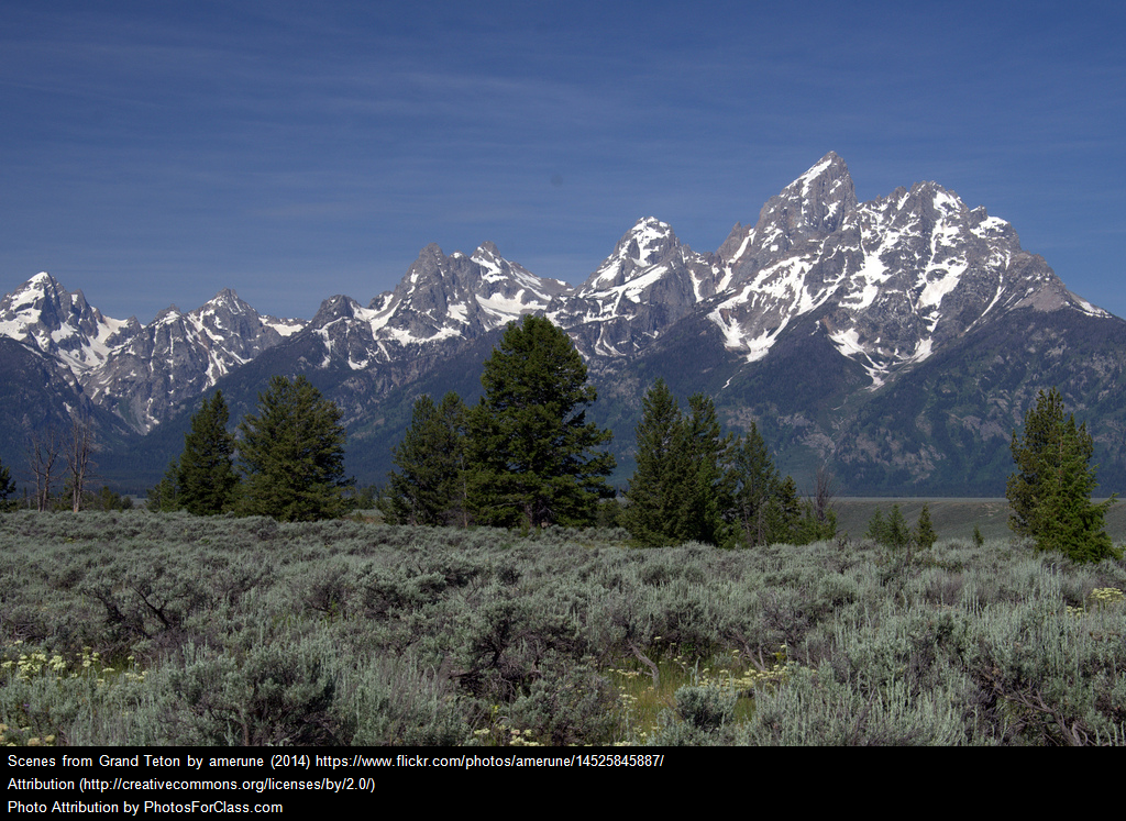 Yeti Corner: Watching for Fires